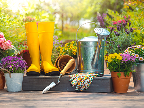 Only 8 weeks from Spring, start planning your garden now.>